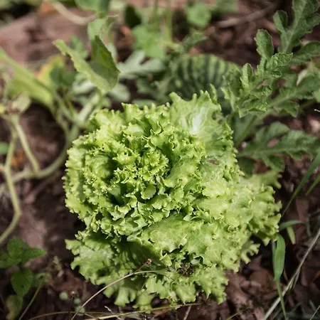 Hostel La Terrera Youth