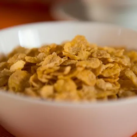 Hostel La Terrera Youth